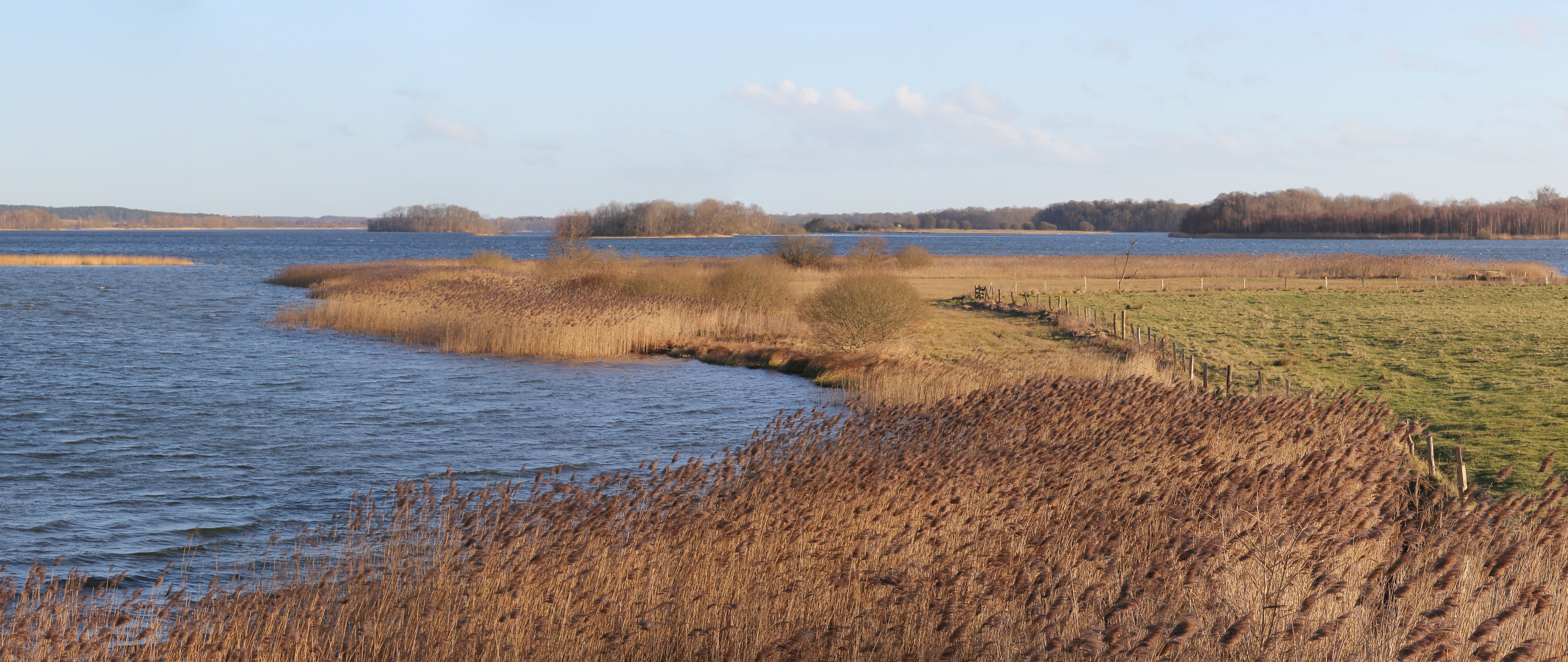 Glaver Koppel waterside in Winter